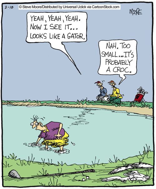 'Yeah, yeah, yeah. Now I see it... looks like a gator.'