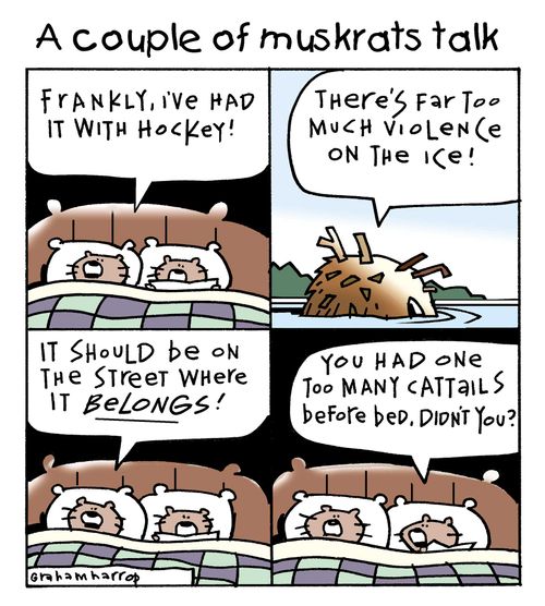 A couple of muskrats talk: 'Frankly, I've had it with hockey.'