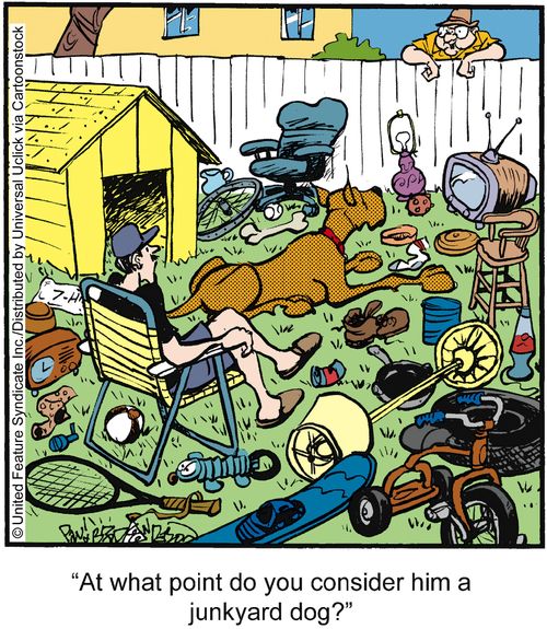 'At what point do you consider him a junkyard dog?'