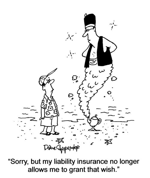 'Sorry, but my liability insurance no longer allows me to grant that wish.'