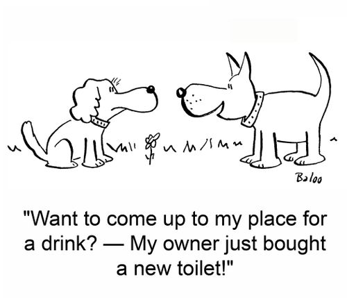 'Want to come up to my place for a drink? - My owner just bought a new toilet!'