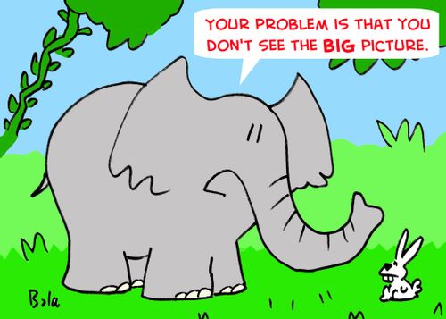 'Your problem is that you don't see the big picture.'