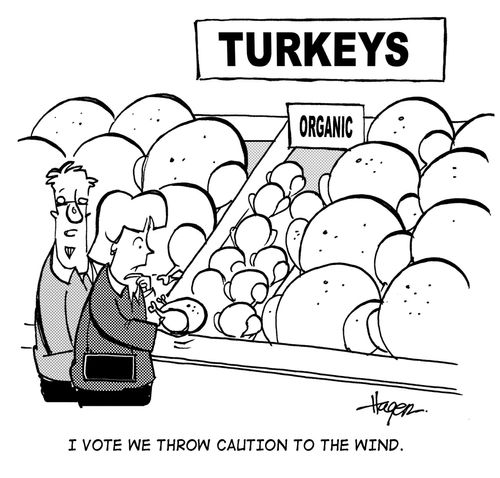 'I vote we throw caution to the wind.'