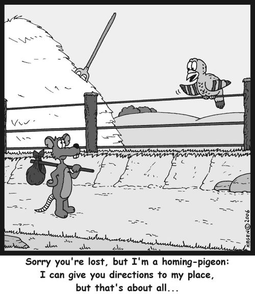 'Sorry you're lost, but I'm a homing-pigeon: I can give you directions to my place, but that's about all...'