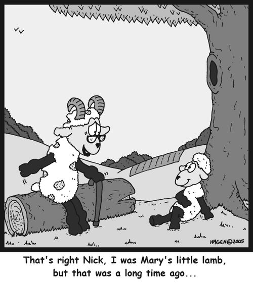 'That's right Nick, I was Mary's little lamb, but that was a long time ago...'
