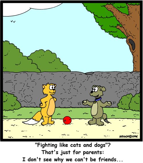 ''Fighting like cats and dogs'? That's just for parents: I don't see why we can't be friends...'