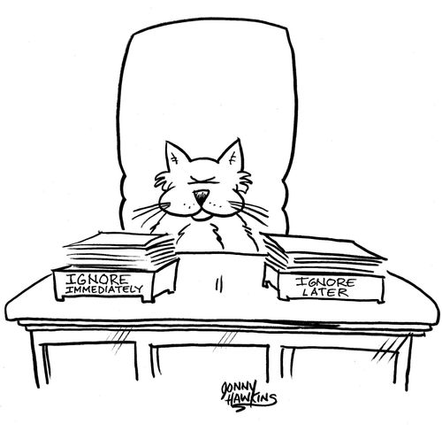 Cat with two trays: 'Ignore Immediately' and 'Ignore Later'.
