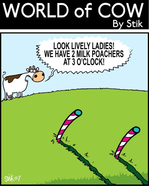 Look lively ladies! We have 2 milk poachers at 3 o'clock!