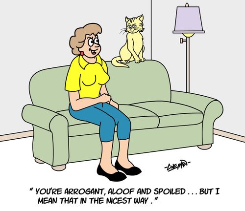 You're arrogant, aloof and spoiled...but I mean that in the nicest way.