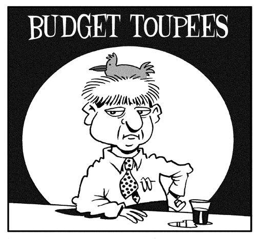 Budget Toupees.