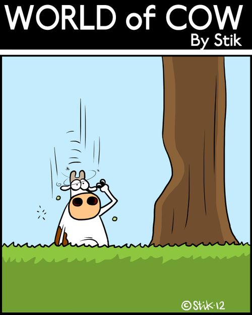 Sinking Cow