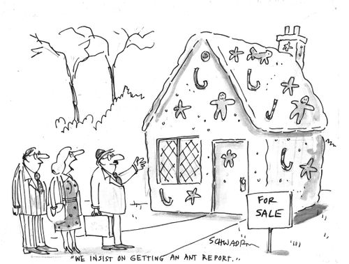 'We insist on getting an ant report.'