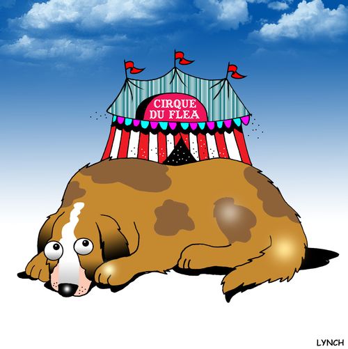 Cirque Du Flea