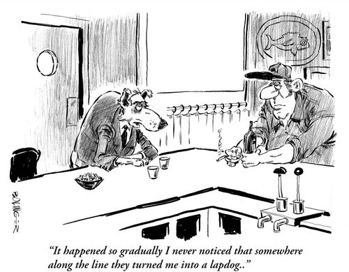 'It happened so gradually I never noticed that somewhere along the line they turned me into a lapdog.'