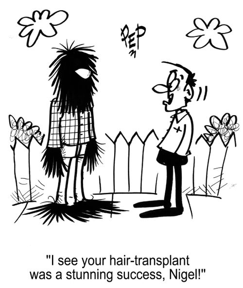 'I see your hair-transplant was a stunning success, Nigel!'