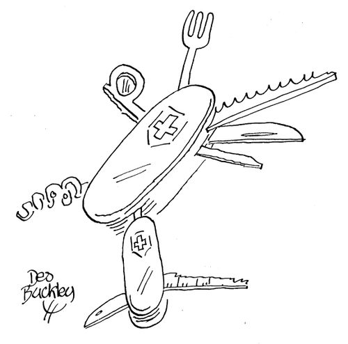 Swiss army knife with little swiss army knife attachment.