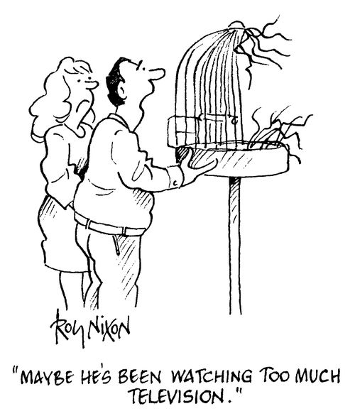 "Maybe he's been watching too much television"
