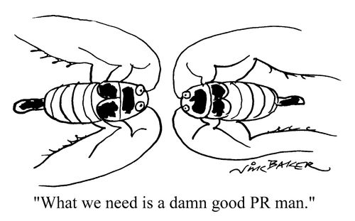 "What we need is a damn good PR man"