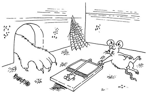 Mouse pushes the mousetrap in the cats way
