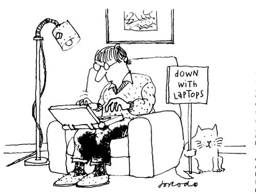 Upset cat with 'Down with laptops' placard