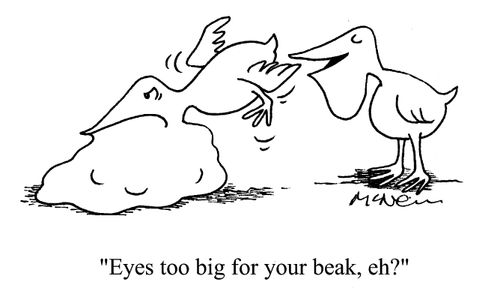 'Eyes too big for your beak, eh?'