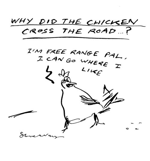Why did the chicken cross the road?  The chicken replies: 'I'm free-range pal, I can go where I like.'