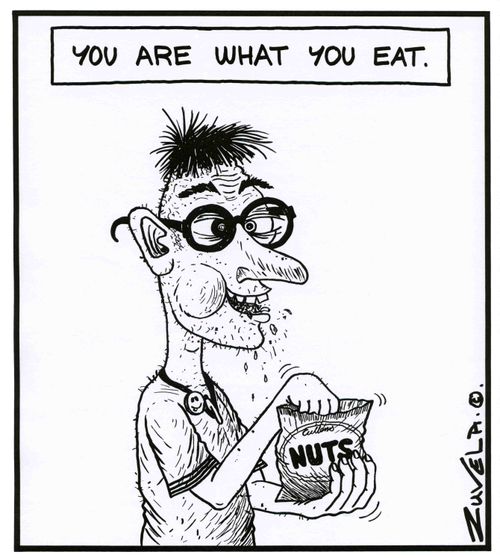 You are what you eat (Nuts).