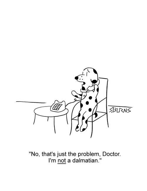 Spotted dog on phone: 'No, that's just the problem, Doctor. I'm not a dalmatian.'