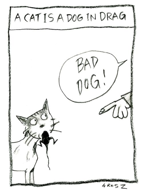 A cat is a dog in drag...'Bad dog!'