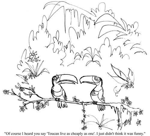 'Of course I heard you say 'Toucan live as cheaply as one', I just didn't think it was funny.'