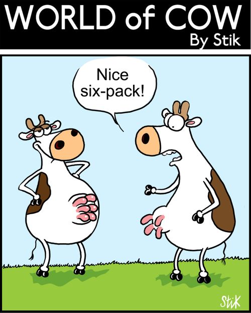 Nice six-pack!