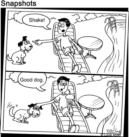 "Shake! Good Dog."