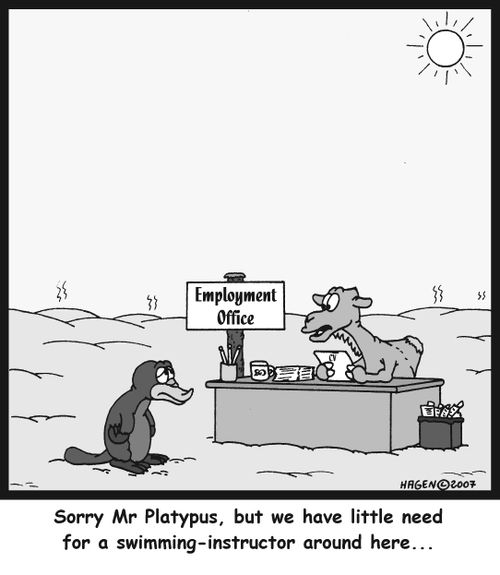 'Sorry Mr Platypus, but we have little need for a swimming-instructor around here...'