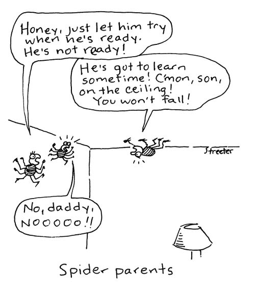 Spider Parents.