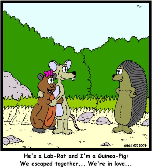 'He's a Lab-Rat and I'm a Guinea-Pig: We escaped together... We're in love...'