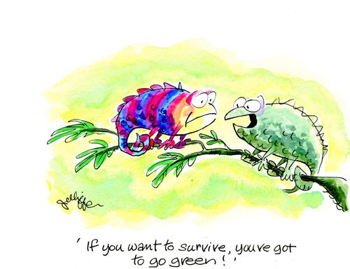 'If you want to survive you've got to go green!'
