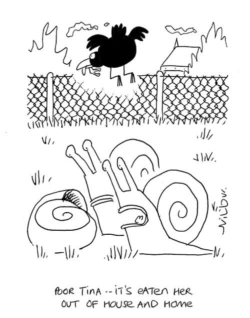 'Poor Tina...It's eaten her out of house and home.'