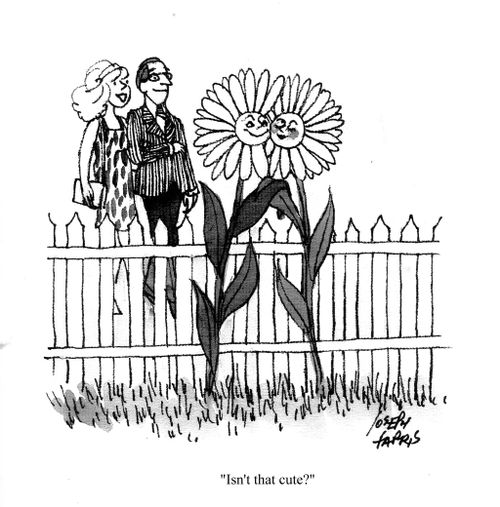 'Isn't that cute?'