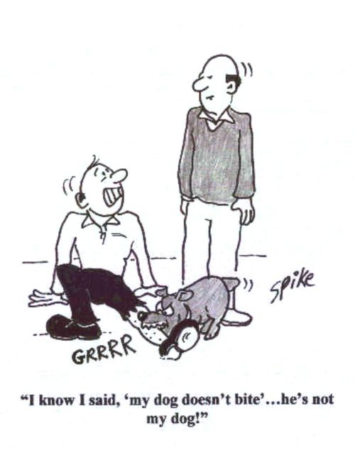 'I know I said, 'my dog doesn't bite'...he's not my dog!'