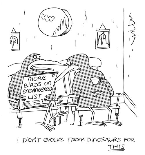 'I didn't evolve from dinosaurs for this.'