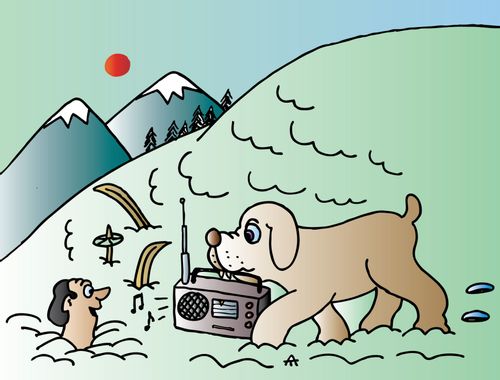 Rescue Dog Provides Entertainment for Trapped Skier.