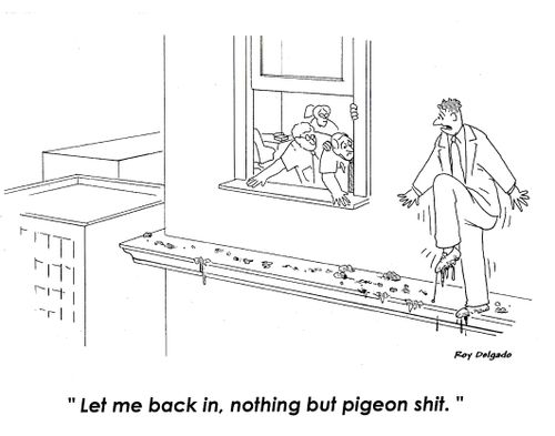 'Let me back in, nothing but pigeon shit.'