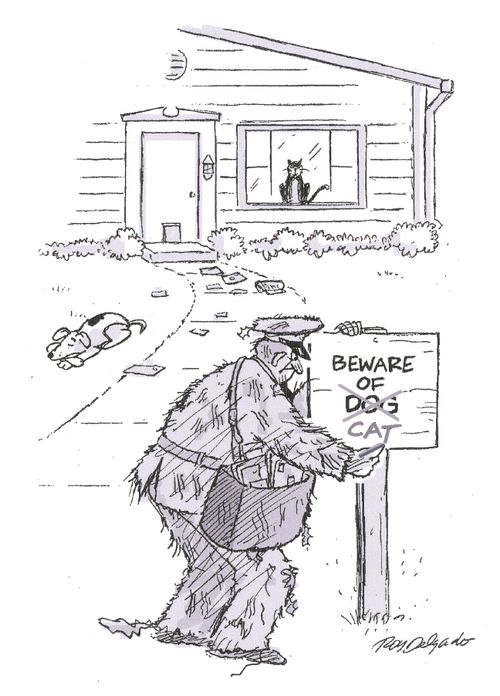 Beware of the Cat.
