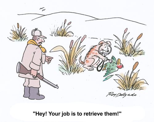 Hey! Your job is to retrieve them.'