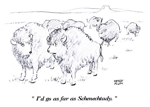 'I'd go as far as Schenechtady.'