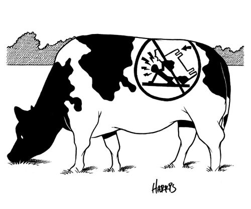 No Cow Tipping