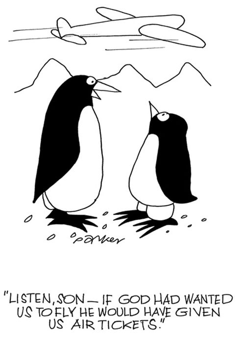 'Listen son-if God had wanted us to fly he would have given us air tickets.'