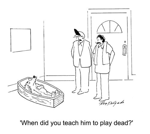 'When did you teach him to play dead?'