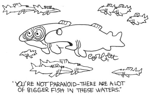 'You're not paranoid- there are a lot of bigger fish in these waters.'