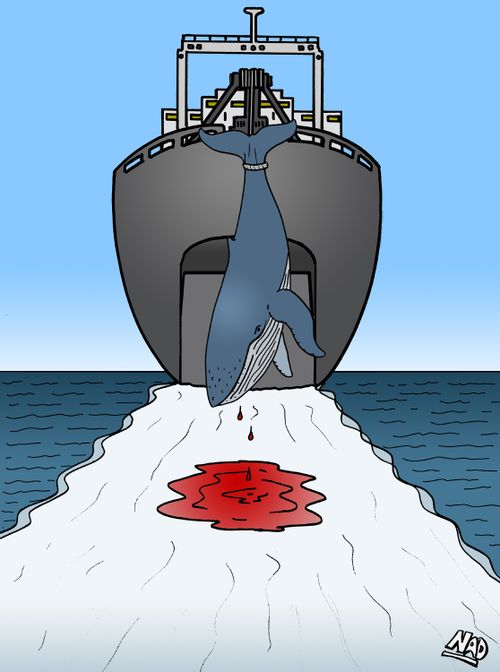 A Whale hangs dead from the back of a Whaling ship and the blood in the wake forms a Japanese flag.